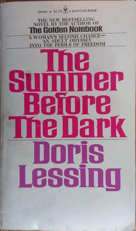 The Summer Before the Dark