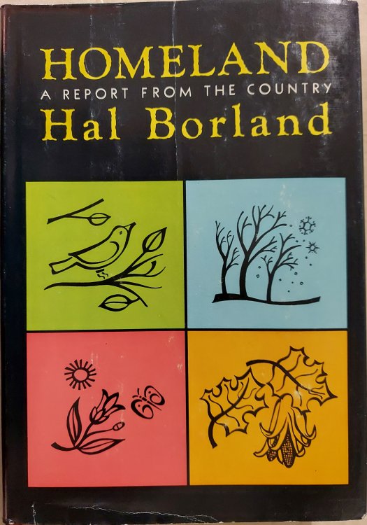 Homeland : A Report from the Country