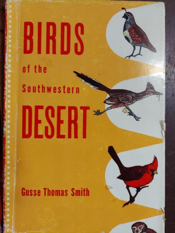 Birds of the Southwestern Desert