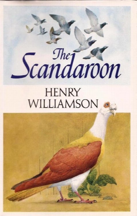 The Scandaroon
