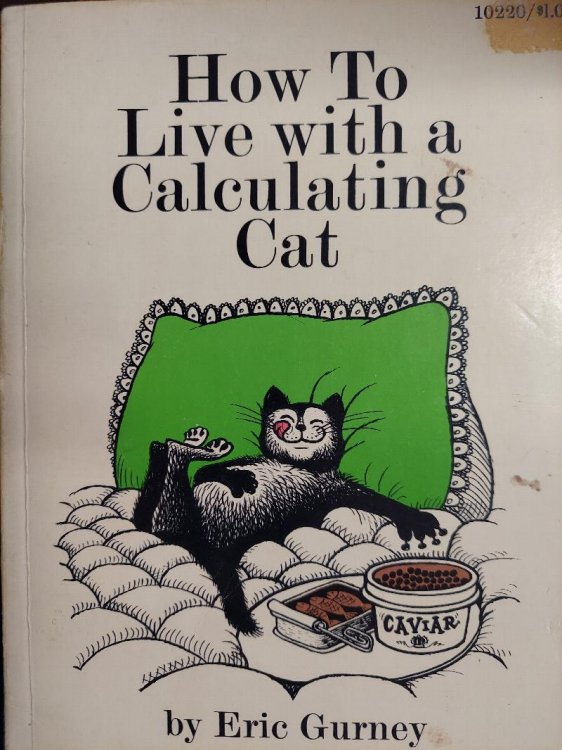 How To Live With a Calculating Cat