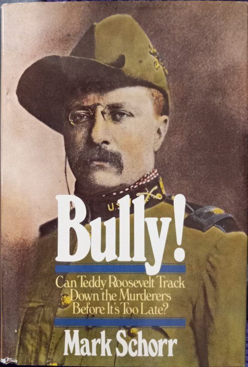 Bully! : Can Teddy Roosevelt Track Down the Murderers Before It's Too Late