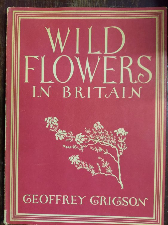 Wild Flowers in Britain