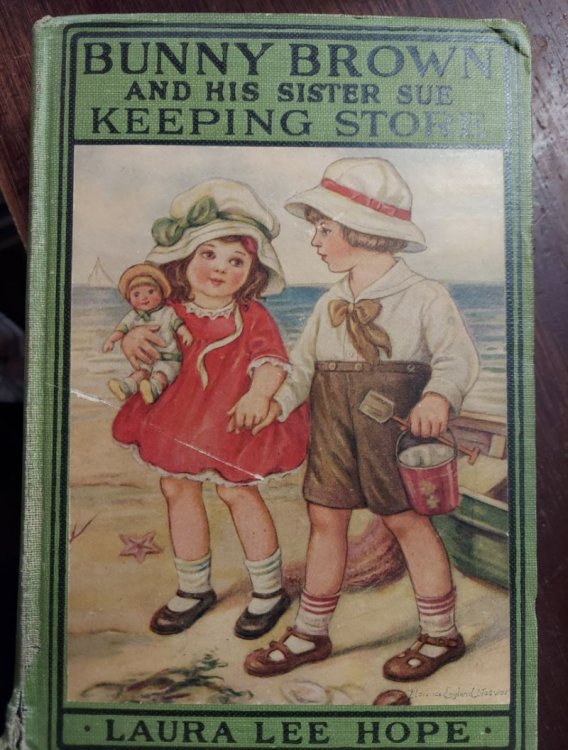 Bunny Brown and His Sister Sue Keeping Store