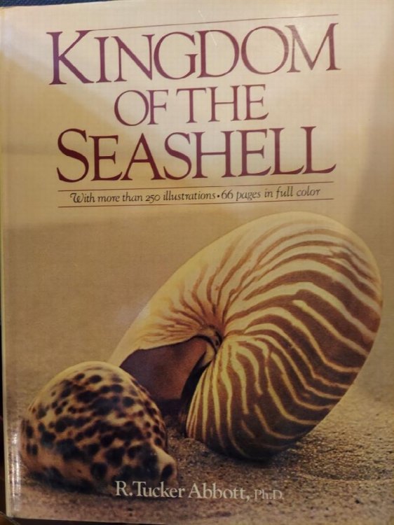Kingdom of the Seashell