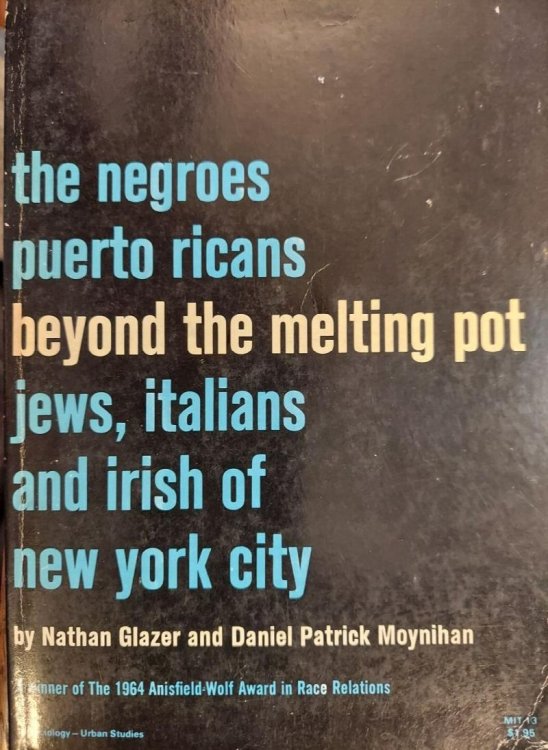 Beyond the Melting Pot : The Negroes, Puerto Ricans, Jews, Italians, and Irish of New York City