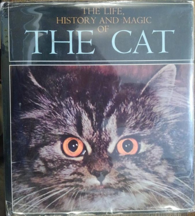 The Life, History and Magic of the Cat