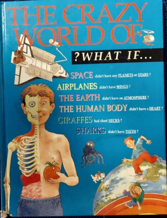 The Crazy World of What If.