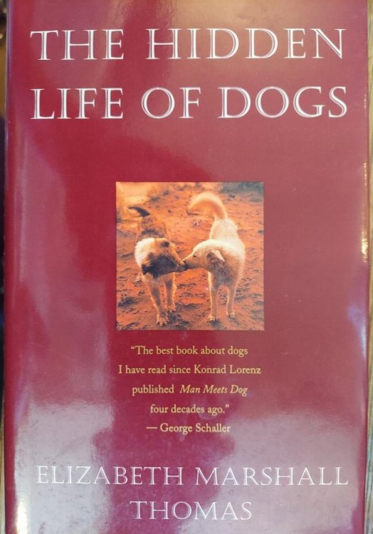 The Hidden Life of Dogs
