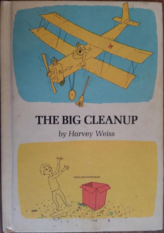The Big Cleanup