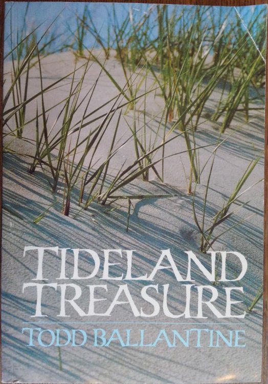 Tideland Treasure