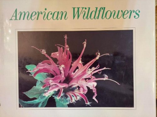 American Wildflowers: Beauty in the Fields