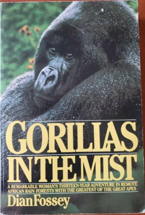 Gorillas In the Mist