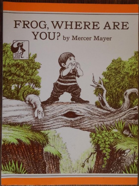 Frog, Where Are You (Boy, Dog, Frog)