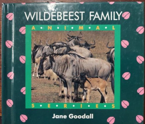 Wildebeest Family