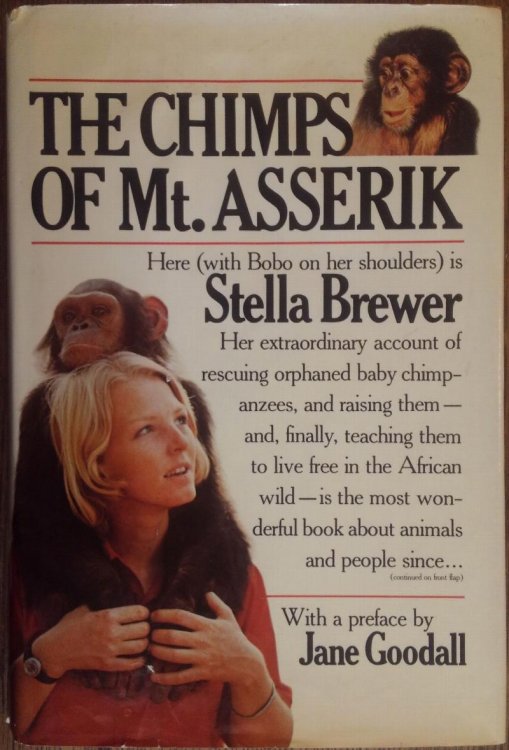 The Chimps of Mt. Asserik