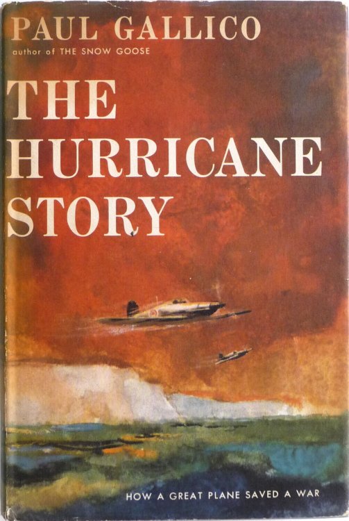 The Hurricane Story