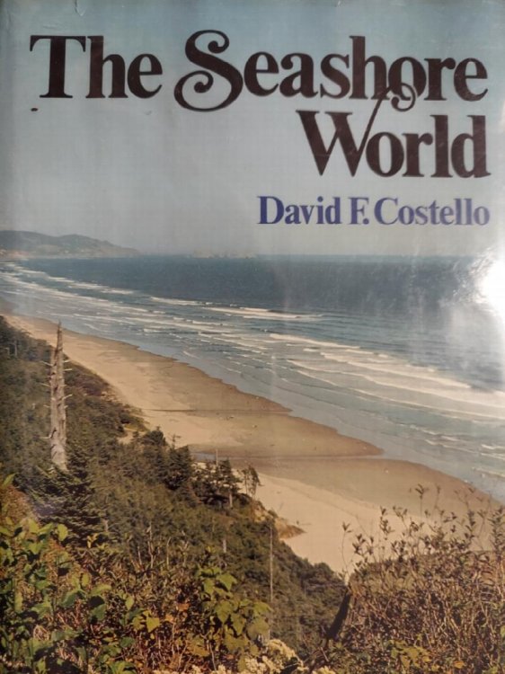 The Seashore World