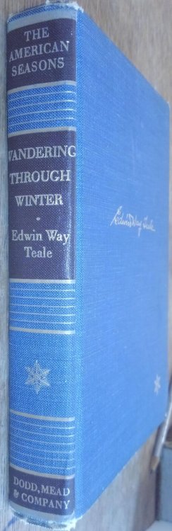 Wandering Through Winter