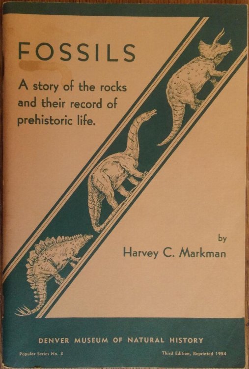Fossils: A Story of the Rocks and Their Record of Prehistoric Life (Popular Series No. 3)