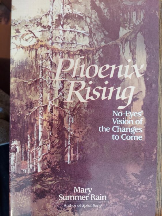 Phoenix Rising: No-Eyes' Vision of the Changes to Come