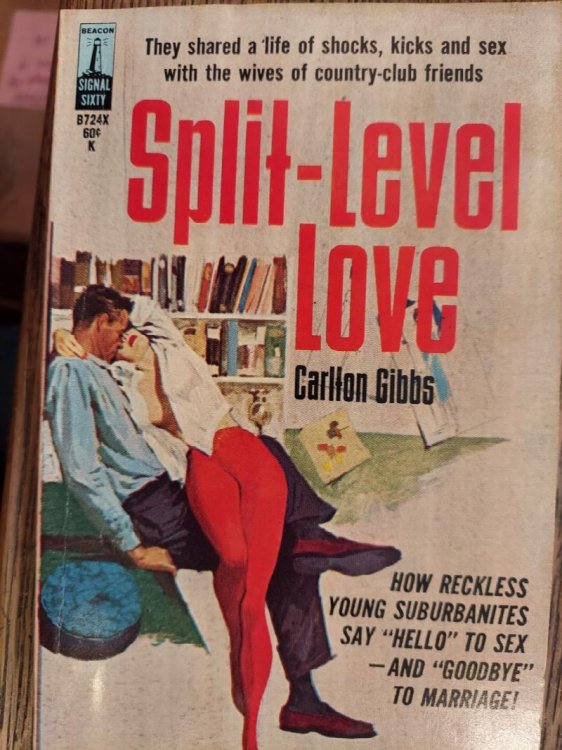 Split-Level Love (B724X)