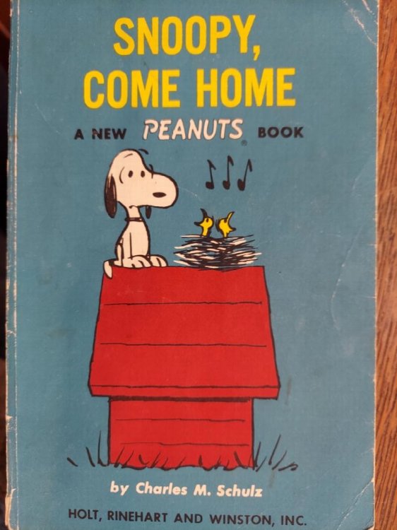 Snoopy, Come Home