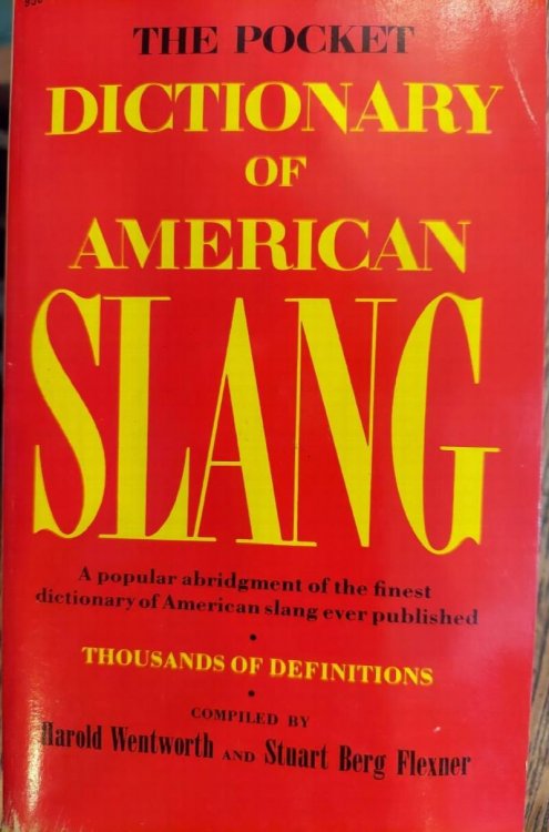 The Pocket Dictionary of American Slang