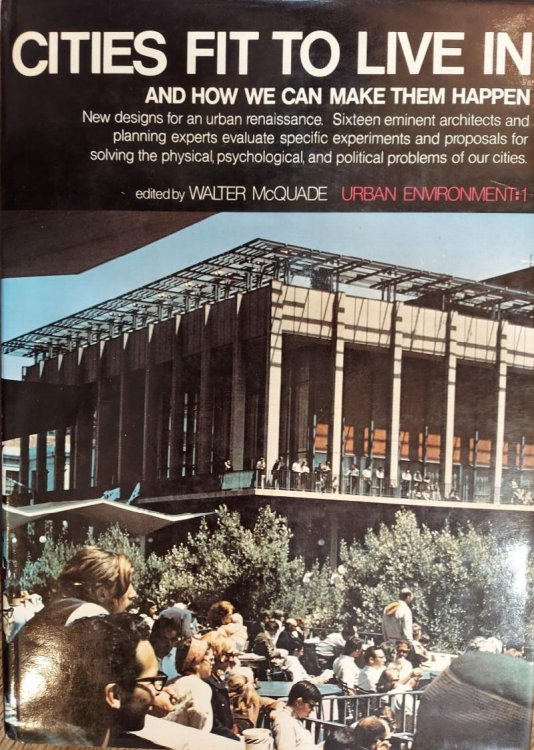 Cities Fit to Live in: And How We Can Make Them Happen