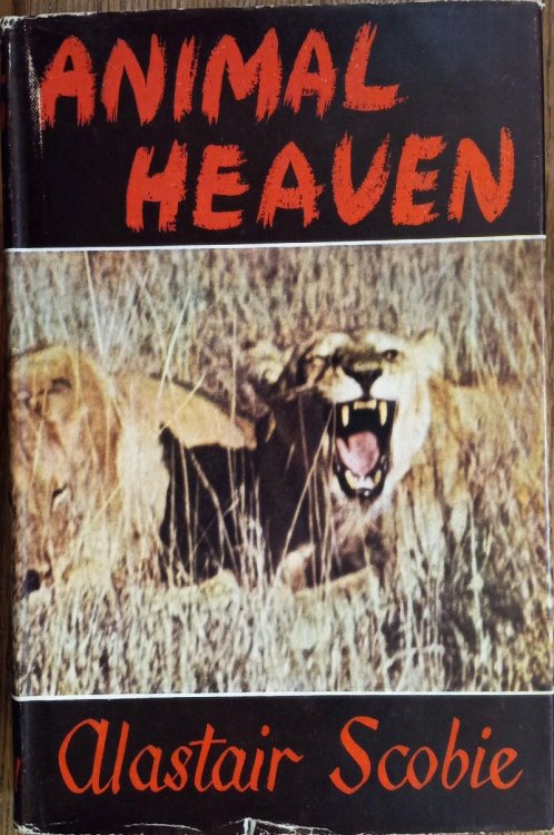 Animal Heaven
