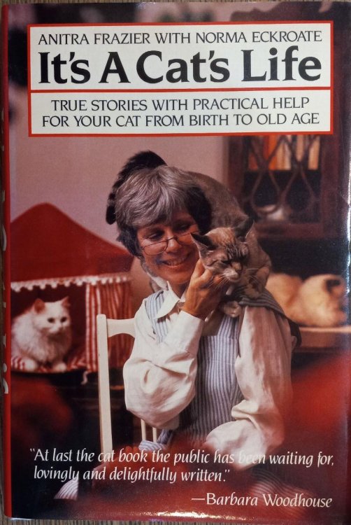 It's a Cat's Life: True Stories with Practical Help For Your Cat From Birth to Old Age