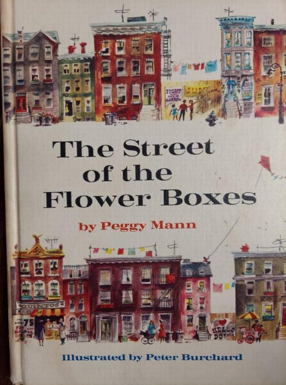 The Street of the Flower Boxes