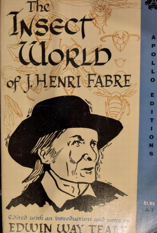The Insect World of J. Henri Fabre (Apollo edition)