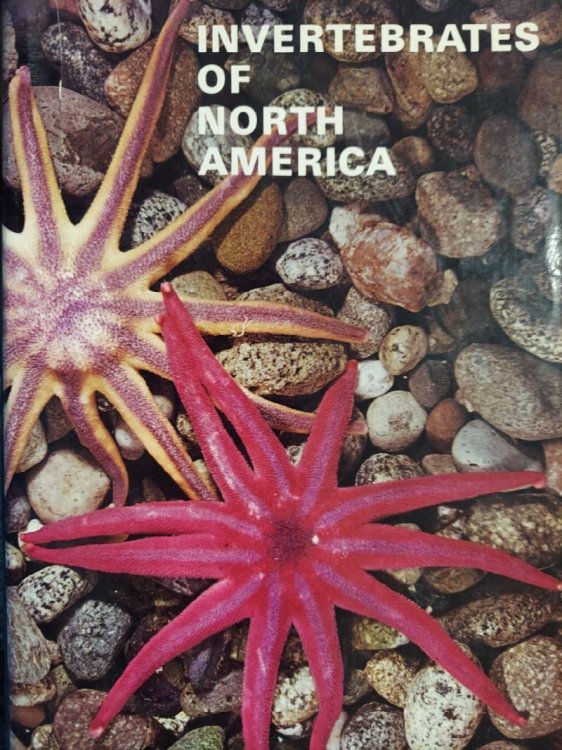 Invertebrates of North America