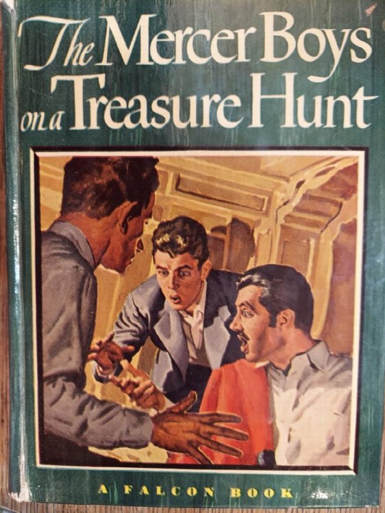 The Mercer Boys on a Treasure Hunt