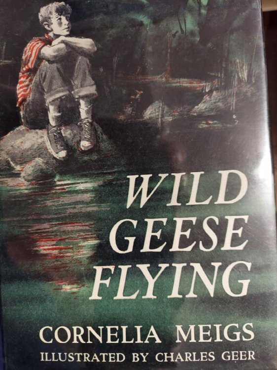 Wild Geese Flying