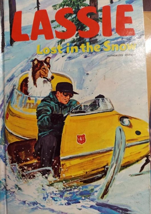 Lassie Lost in the Snow