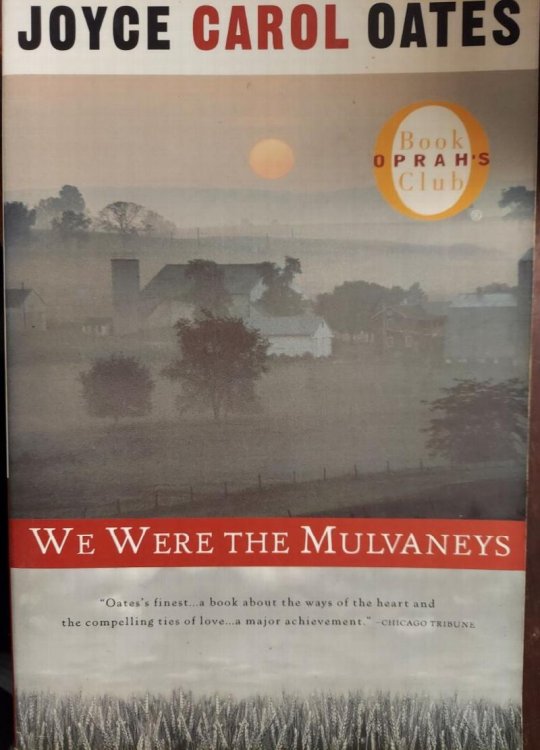 We Were the Mulvaneys