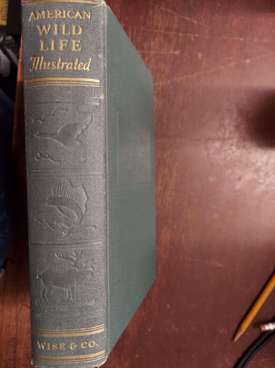 American Wild Life Illustrated