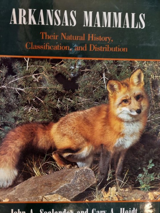 Arkansas Mammals : Their Natural History, Classification, and Distribution