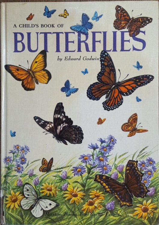 A Child's Book of Butterflies