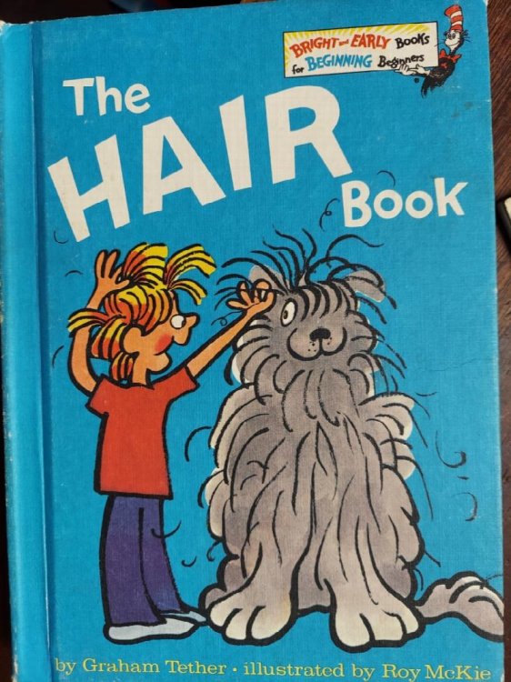 The Hair Book (Bright and Early Books)