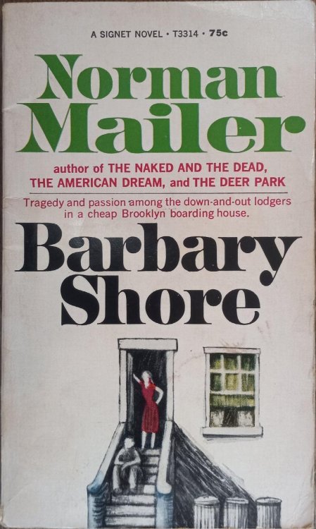 Barbary Shore
