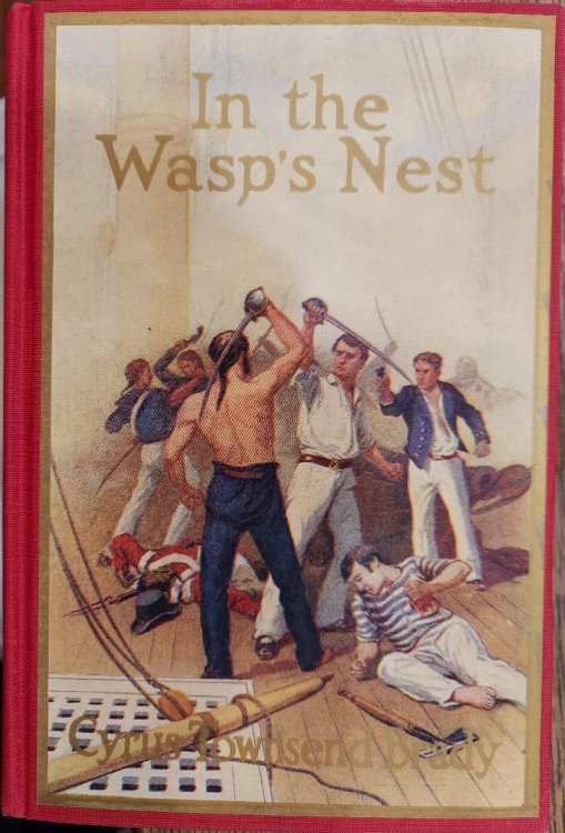 Image for In the Wasp's Nest: The Story of a Sea Waif in the War of 1812 In the Wasp's Nest: The Story of a Sea Waif in the War of 1812