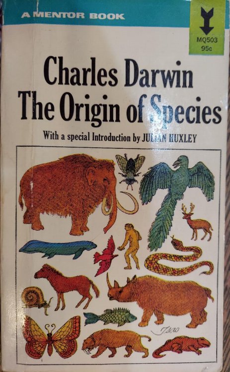 Image for The Origin of Species The Origin of Species