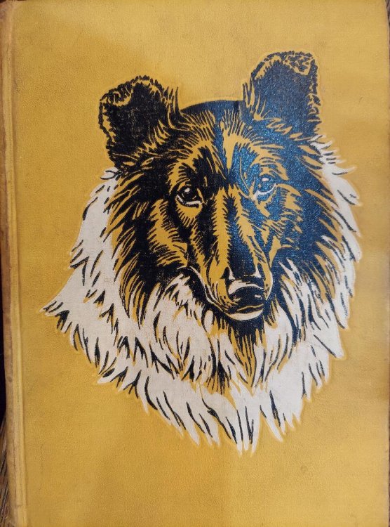 Lassie Come Home