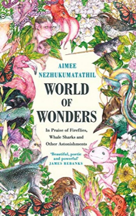 World of Wonders : In Praise of Fireflies, Whale Sharks, and Other Astonishments