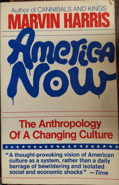 America Now: The Anthropology of a Changing Culture