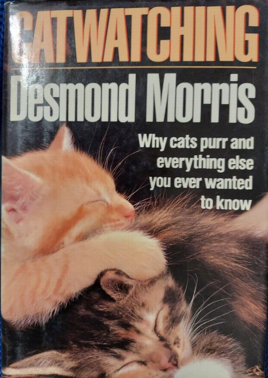 Catwatching