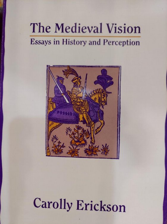 The Medieval Vision : Essays in History and Perception